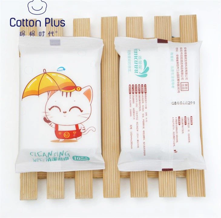 10 Pcs Mini Wet Wipes